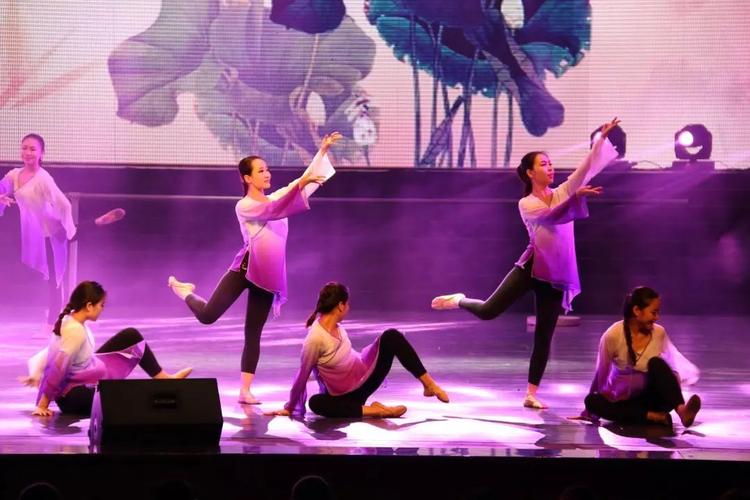 海口经济学院舞蹈专业有何特色优势？-第1张图片-泰美艺术培训