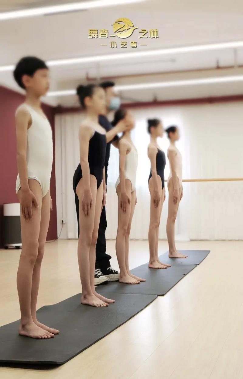 艺考美术与舞蹈专业，哪个更适合你？-第1张图片-泰美艺术培训