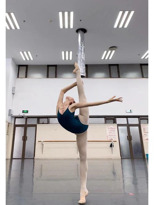 舞蹈生毕业后的职业方向有哪些?-第2张图片-泰美艺术培训 舞蹈生毕业后的职业方向有哪些?-第2张图片-泰美艺术培训