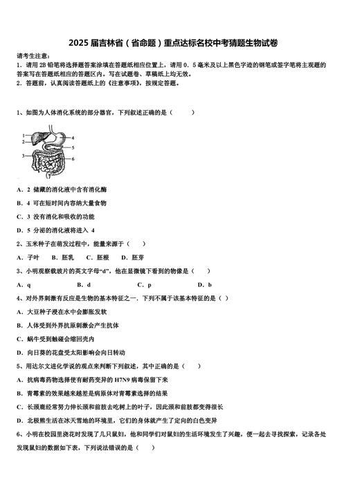 吉林省2025联考考题范围有哪些?-第3张图片-泰美艺术培训 吉林省2025联考考题范围有哪些?-第3张图片-泰美艺术培训