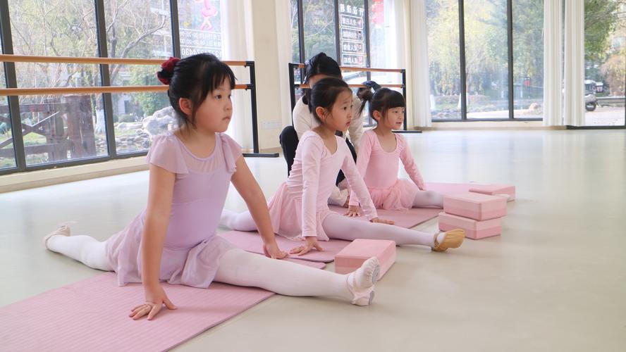 河南体育舞蹈B段学校有哪些？-第1张图片-泰美艺术培训