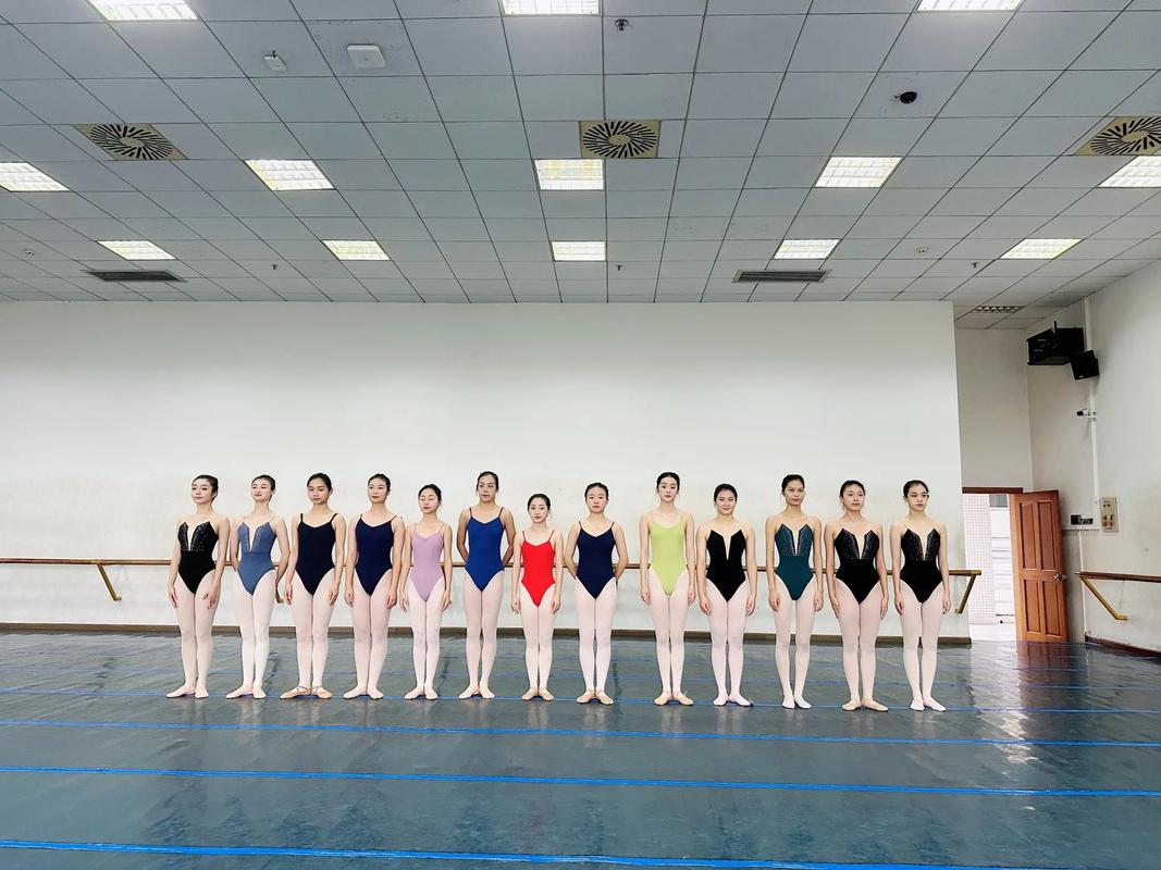 川音舞蹈专业好就业吗？-第1张图片-泰美艺术培训