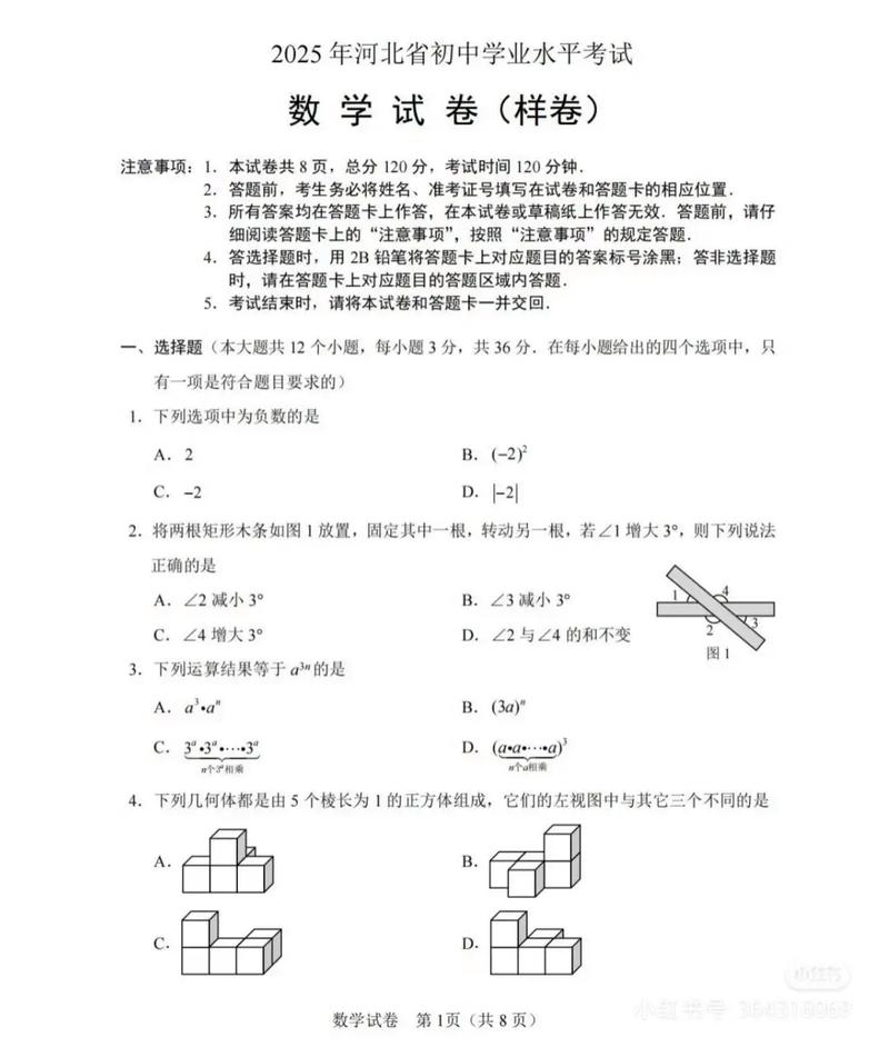 2025河北省联考考题-第3张图片-泰美艺术培训