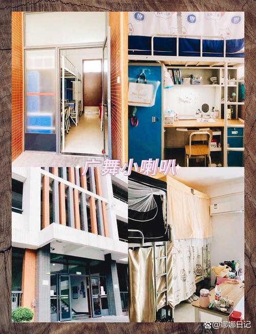 广东省有多少间舞蹈学校-第1张图片-泰美艺术培训 广东省有多少间舞蹈学校-第1张图片-泰美艺术培训