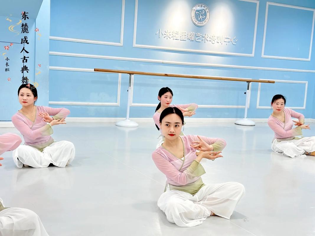 北京科德学院舞蹈零基础-第3张图片-泰美艺术培训