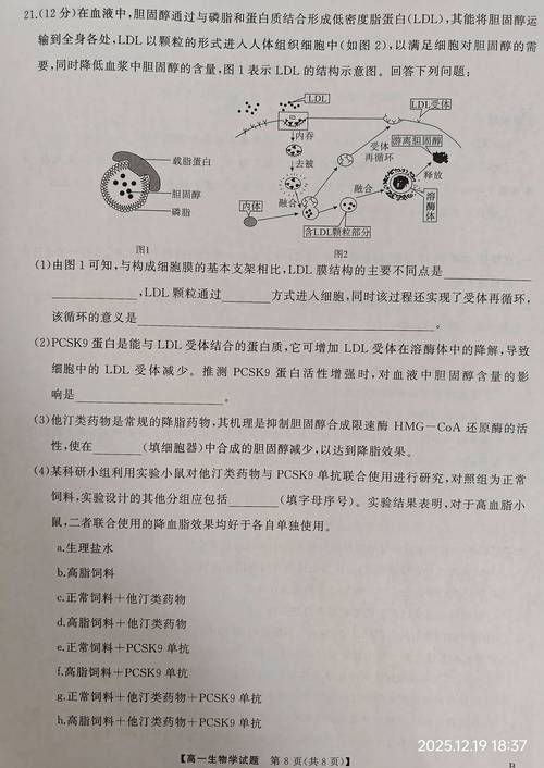 全国大联考2025生物-第3张图片-泰美艺术培训