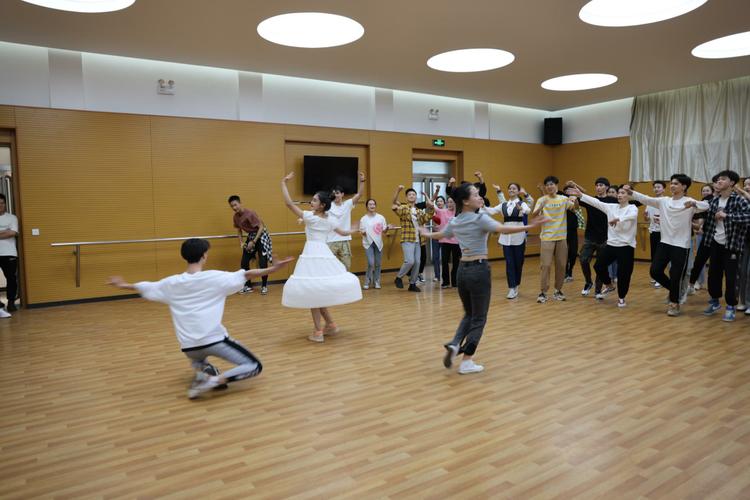 山西艺术职业学院舞蹈班-第1张图片-泰美艺术培训