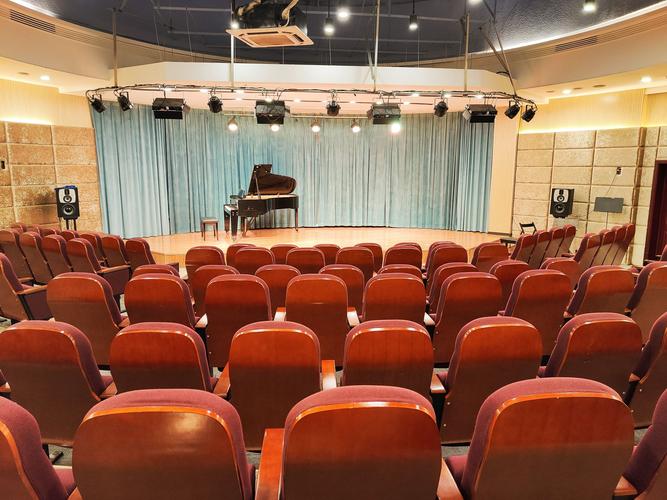 开设音乐表演专业的学校-第1张图片-泰美艺术培训