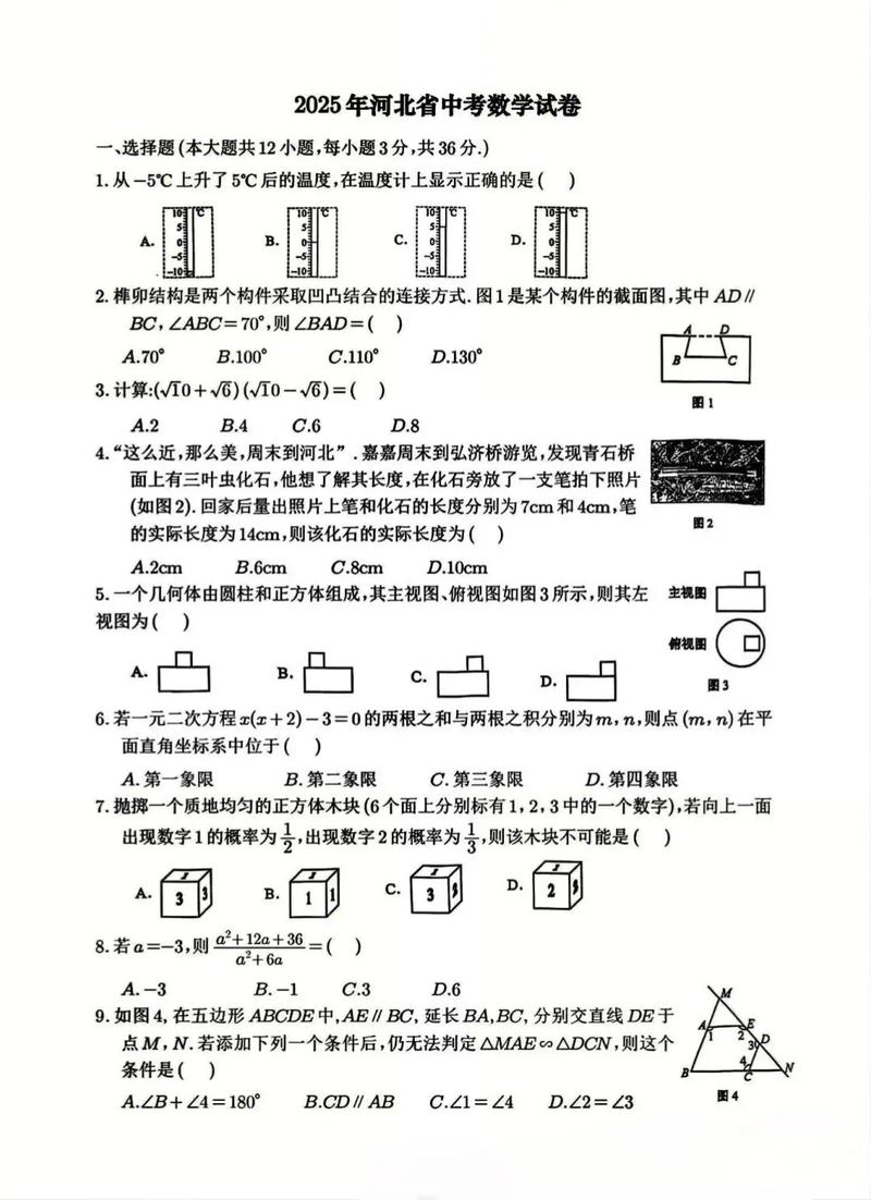 2025年河北中考艺考-第1张图片-泰美艺术培训