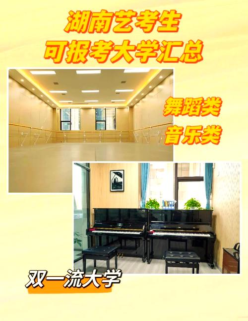 高考有没有音乐舞蹈专业-第3张图片-泰美艺术培训