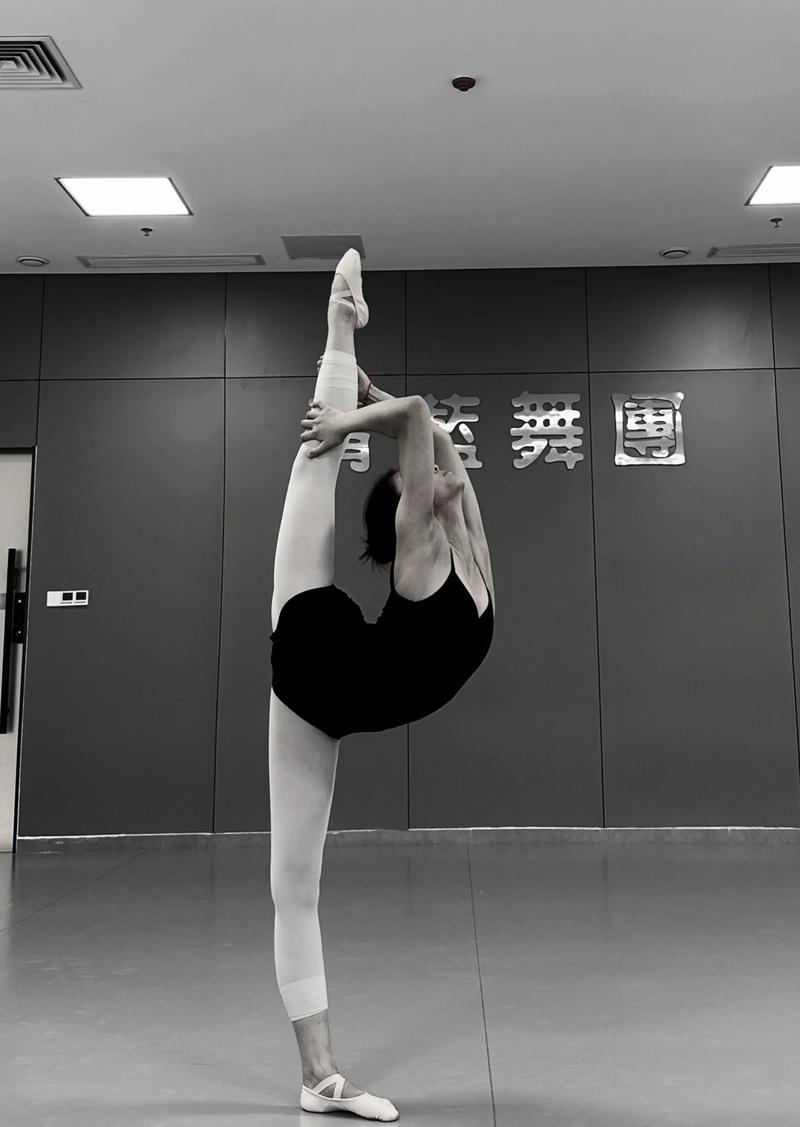 2025年四川艺考舞蹈-第3张图片-泰美艺术培训