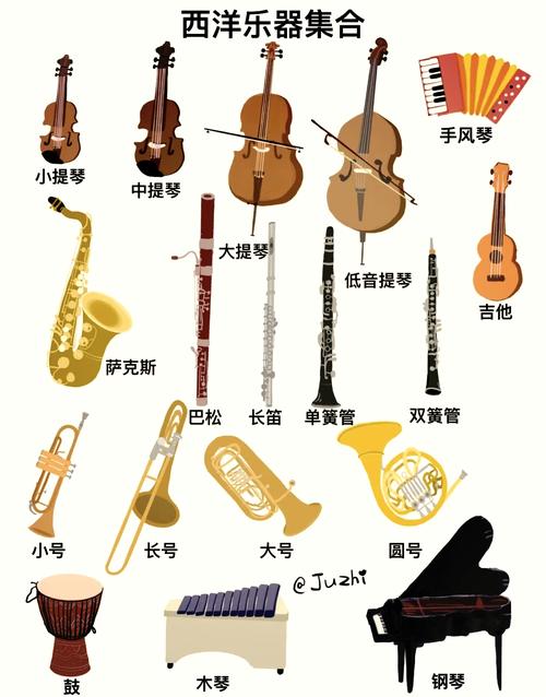 音乐专业选修乐器,哪个更适合发展?-第1张图片-泰美艺术培训 音乐专业选修乐器,哪个更适合发展?-第1张图片-泰美艺术培训