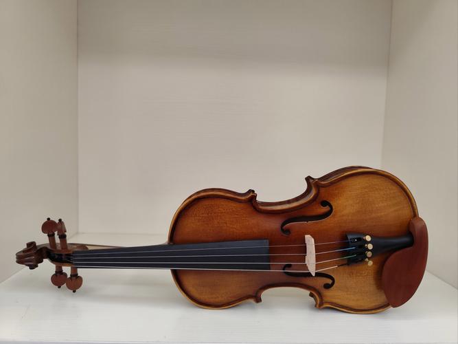 音乐专业选修乐器，哪个更适合发展？-第2张图片-泰美艺术培训