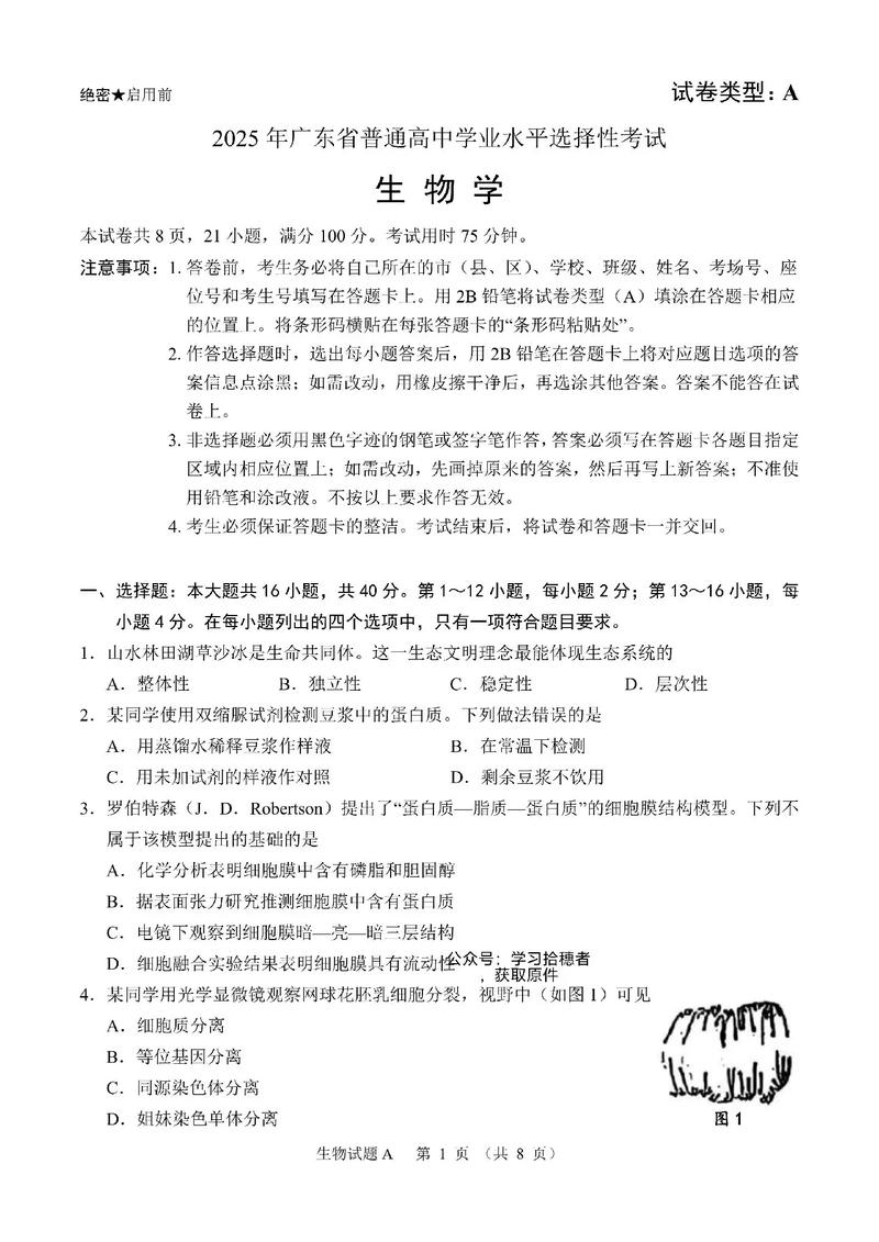 2025广东联考考纲有哪些变化？-第2张图片-泰美艺术培训