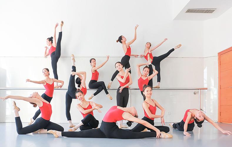 四川哪个学校舞蹈专业海-第1张图片-泰美艺术培训