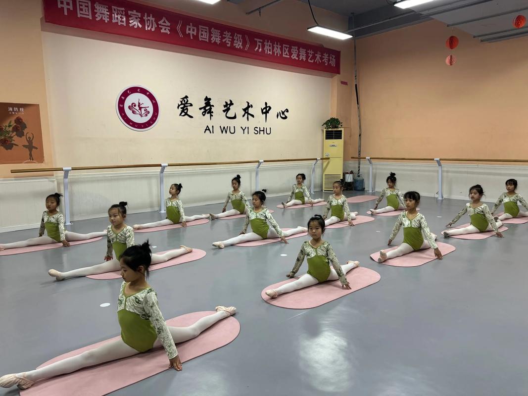 安顺兴伟哪里有学舞蹈的-第3张图片-泰美艺术培训