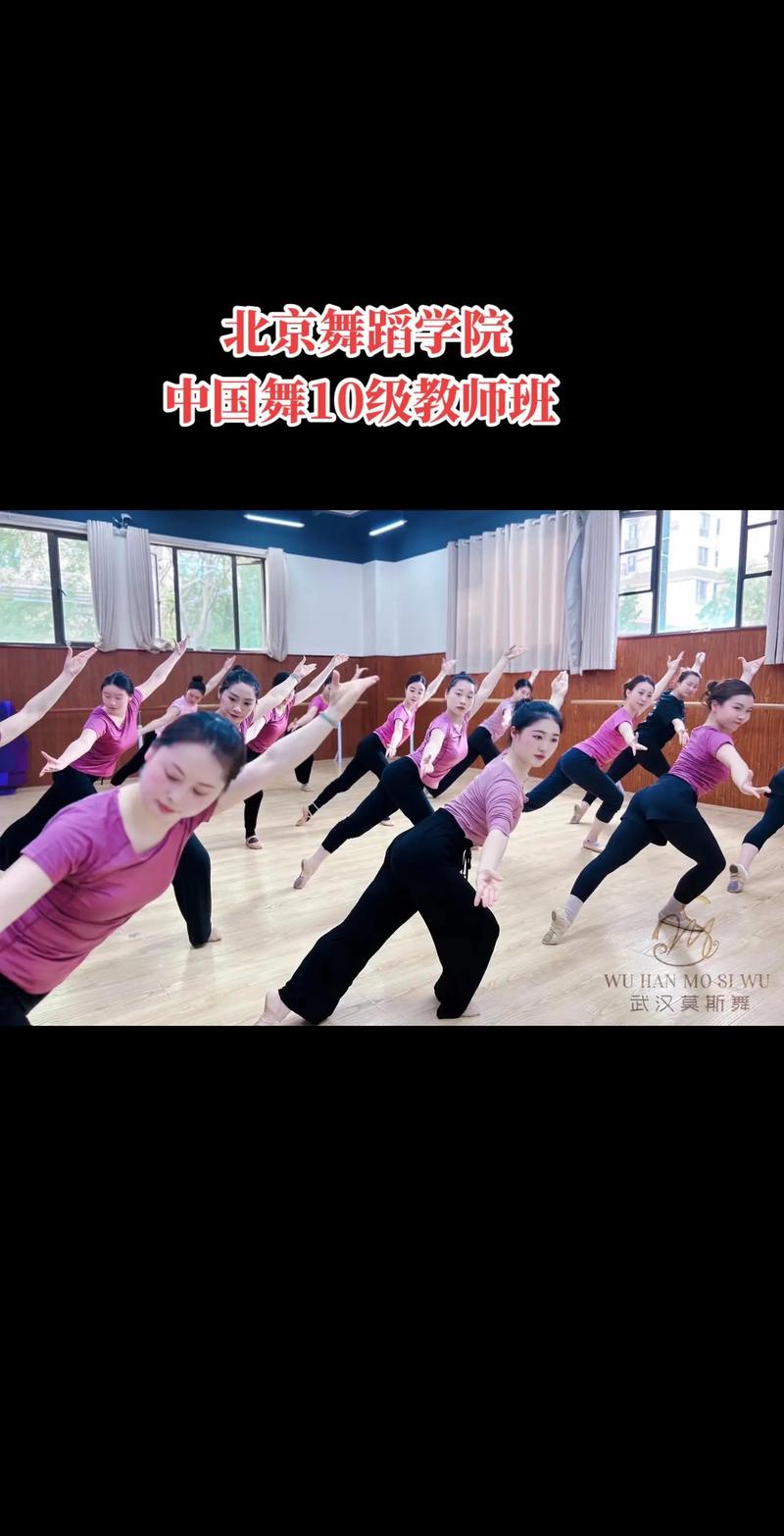 北京舞蹈学院国标舞进修如何申请?-第3张图片-泰美艺术培训 北京舞蹈学院国标舞进修如何申请?-第3张图片-泰美艺术培训