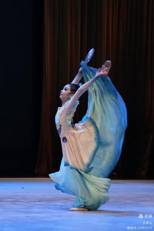 沈阳师范招舞蹈特长生么-第3张图片-泰美艺术培训