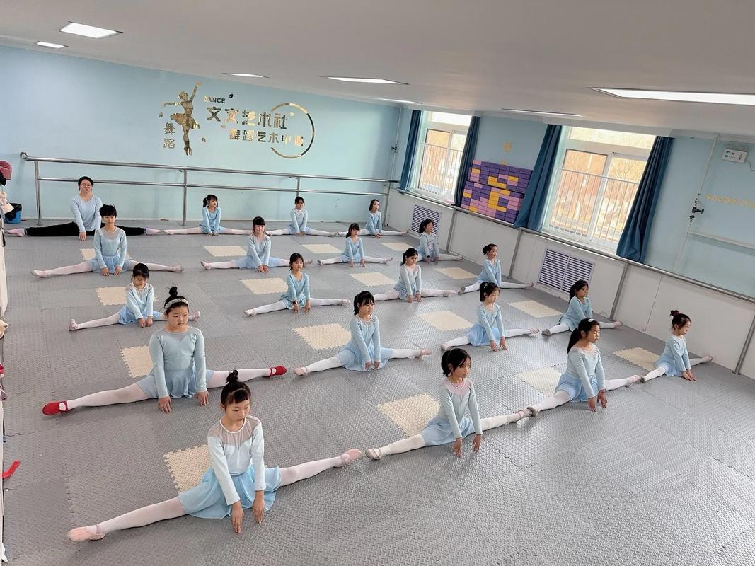 山东省舞蹈表演单招学校-第3张图片-泰美艺术培训
