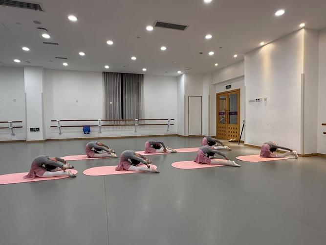 内蒙古艺考舞蹈培训学校哪家好?-第1张图片-泰美艺术培训 内蒙古艺考舞蹈培训学校哪家好?-第1张图片-泰美艺术培训