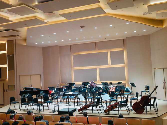 声乐训练 上海音乐学院-第2张图片-泰美艺术培训 声乐训练 上海音乐学院-第2张图片-泰美艺术培训