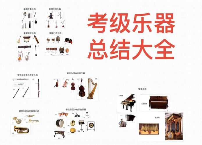 音乐表演器乐专业学什么-第1张图片-泰美艺术培训