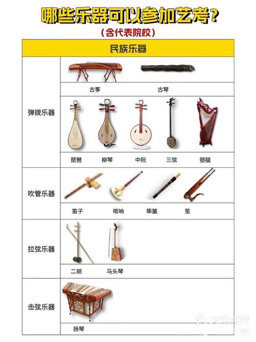音乐表演器乐专业学什么-第2张图片-泰美艺术培训