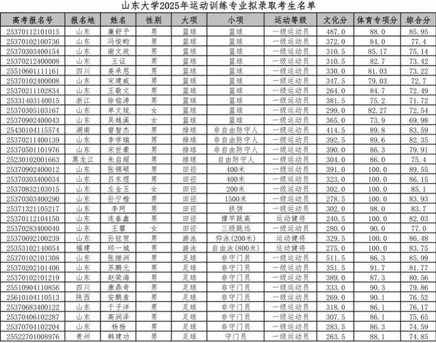 2025山大音乐特长生-第3张图片-泰美艺术培训