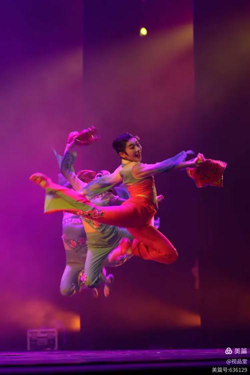 辽宁省有舞蹈专业的大学-第2张图片-泰美艺术培训