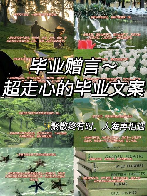 小学毕业催泪话语配什么音乐最戳心？-第1张图片-泰美艺术培训