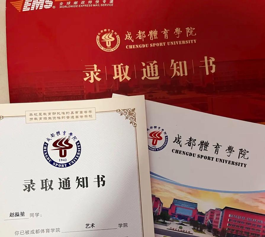 四川成都体育大学舞蹈专-第1张图片-泰美艺术培训