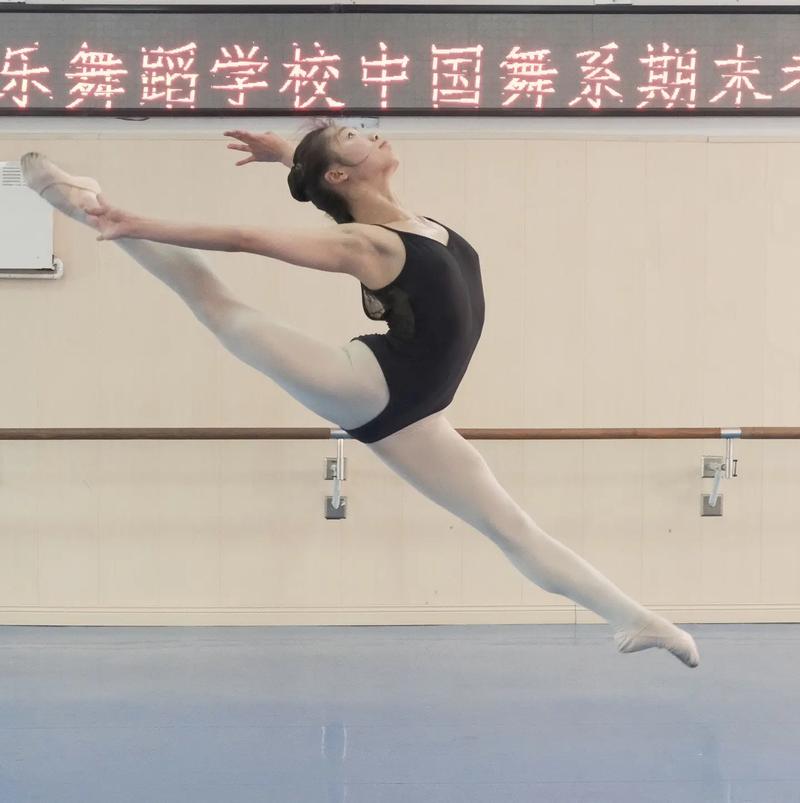 以前应该学音乐表演舞蹈-第3张图片-泰美艺术培训