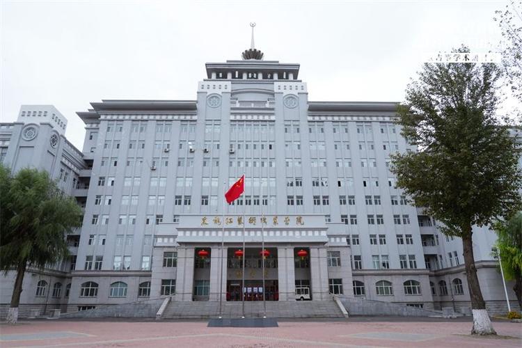 黑龙江艺术职业舞蹈学院有何特色?-第1张图片-泰美艺术培训 黑龙江艺术职业舞蹈学院有何特色?-第1张图片-泰美艺术培训