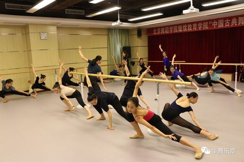 廊坊师范学院舞蹈分数线多少?-第1张图片-泰美艺术培训 廊坊师范学院舞蹈分数线多少?-第1张图片-泰美艺术培训