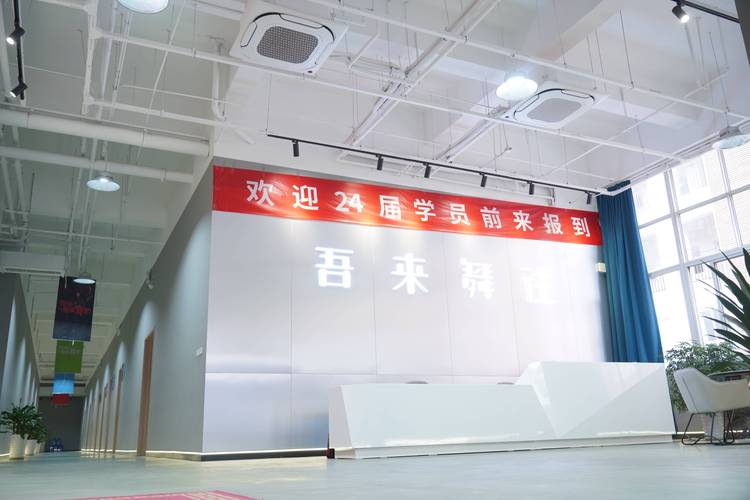 哪家舞蹈类高考培训班好-第2张图片-泰美艺术培训