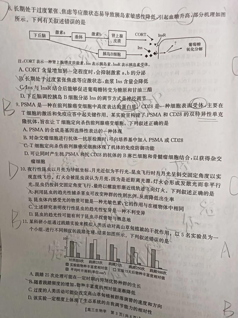 甘肃省2025联考考题-第3张图片-泰美艺术培训