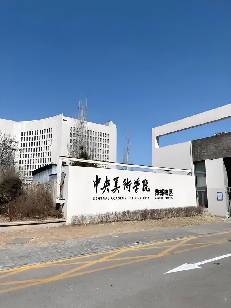 哪些美术学院承认美术联考成绩？-第2张图片-泰美艺术培训