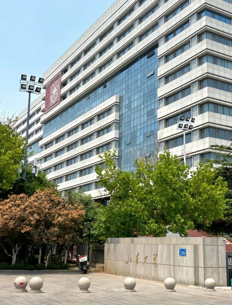 哪些大学承认山东联考成绩？-第1张图片-泰美艺术培训