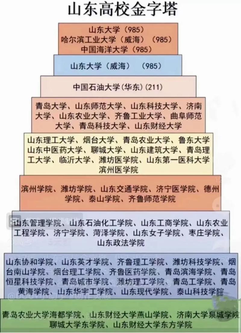 哪些大学承认山东联考成绩？-第3张图片-泰美艺术培训