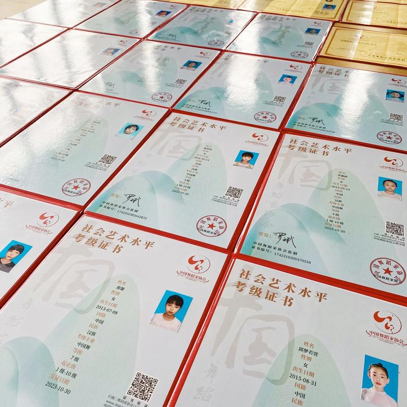 舞蹈考级证升学到底有没有用？-第1张图片-泰美艺术培训