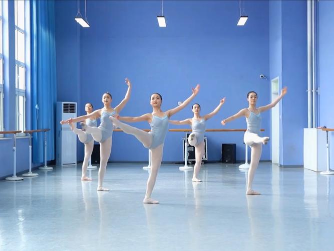教育类哪些专业学舞蹈？-第2张图片-泰美艺术培训