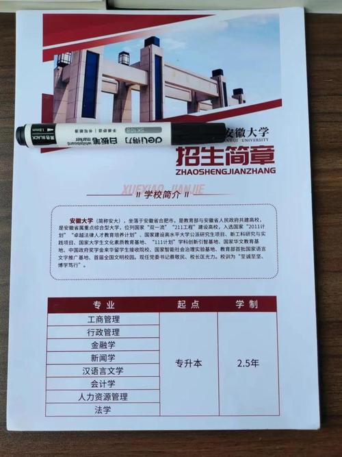 安徽大学美术类招生简章有何新变化？-第1张图片-泰美艺术培训