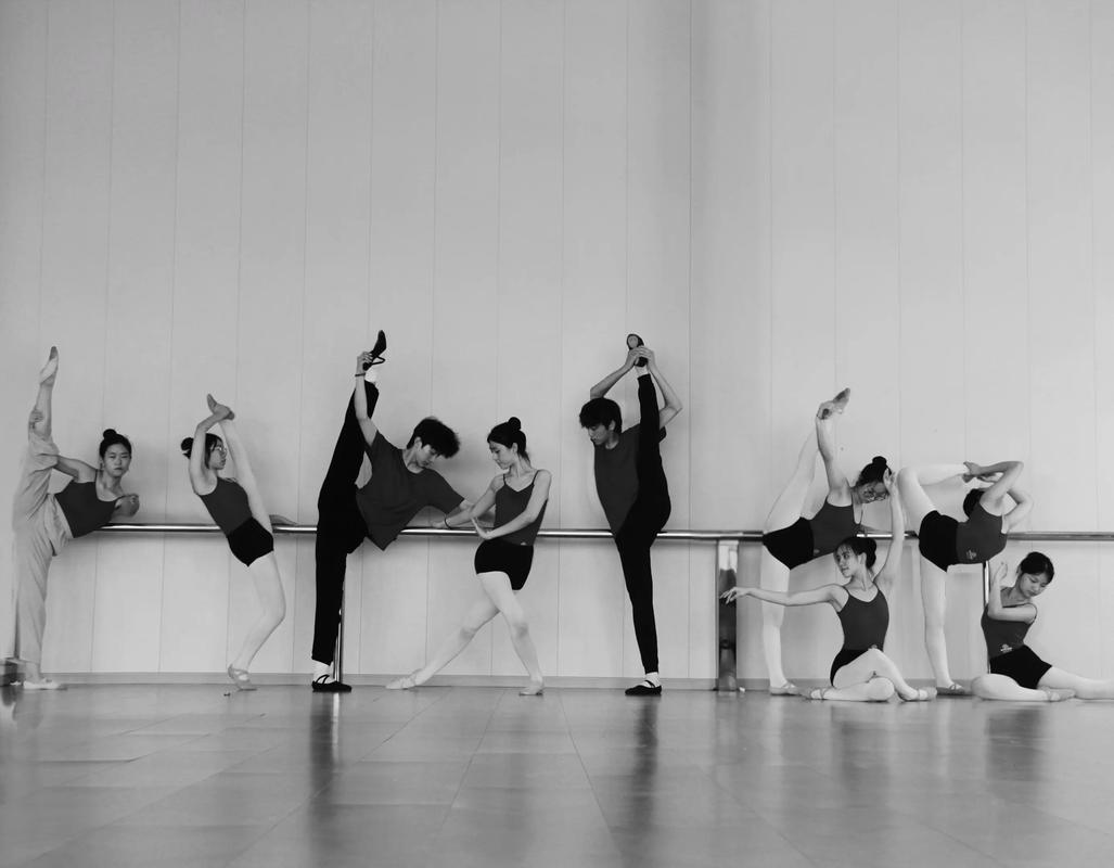 重庆2025舞蹈艺考有何新变化?-第3张图片-泰美艺术培训 重庆2025舞蹈艺考有何新变化?-第3张图片-泰美艺术培训