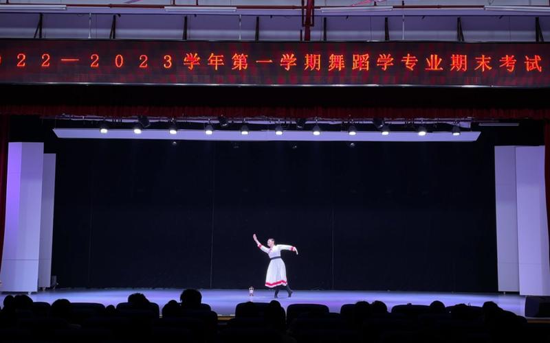 广西师范大学舞蹈有几支队伍？-第2张图片-泰美艺术培训