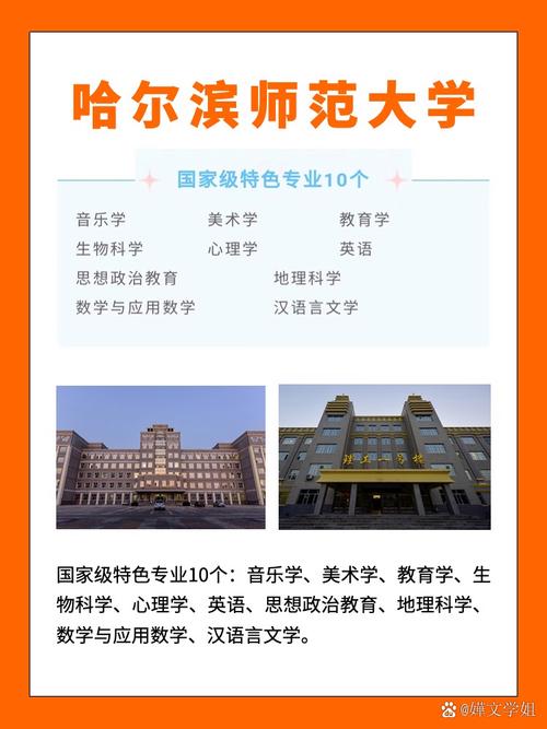 哈尔滨师范大学美术专业如何？-第1张图片-泰美艺术培训