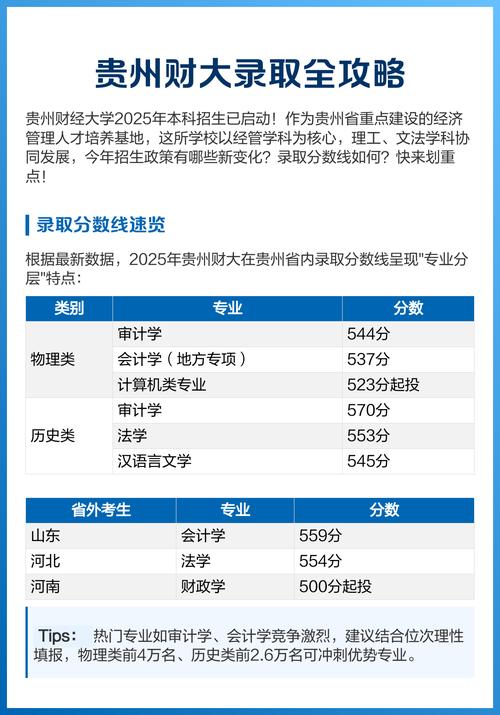 贵州财经舞蹈录取分数线是多少？-第1张图片-泰美艺术培训