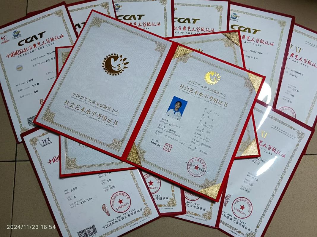 拉丁舞艺考必须考级吗？-第1张图片-泰美艺术培训