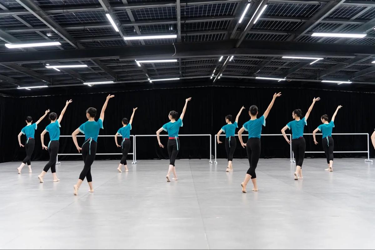 集美大学招收舞蹈研究生吗？-第2张图片-泰美艺术培训