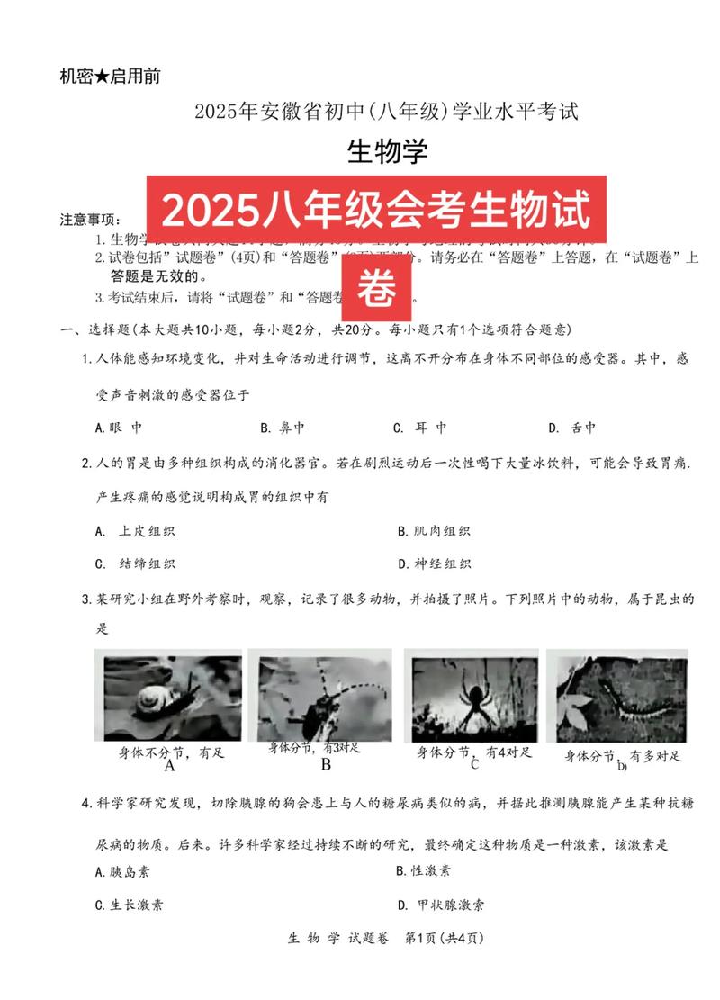 2025安徽艺考试题有何变化？-第1张图片-泰美艺术培训