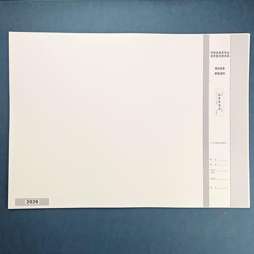 河南美术联考速写用几开纸？-第1张图片-泰美艺术培训